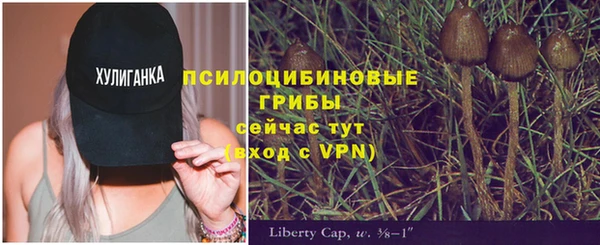 spice Магадан