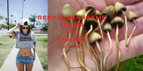 mix Майский