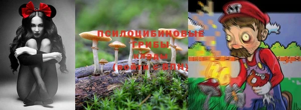 соль курить ск Нижневартовск