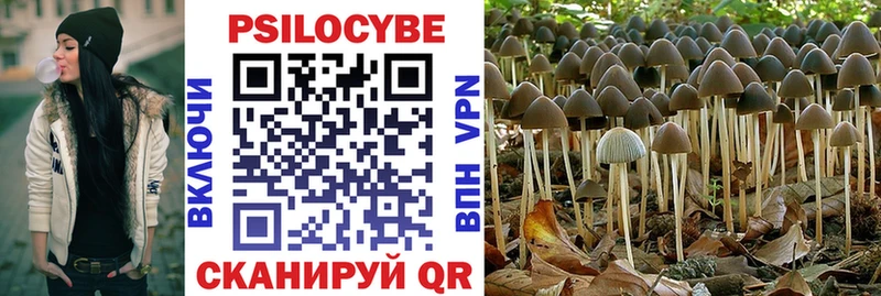Галлюциногенные грибы Psilocybe Ядрин